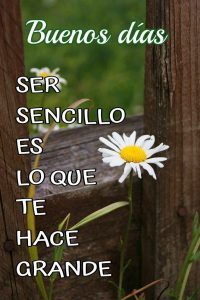 Imagenes Con Los Buenos Dias Para Una Amiga