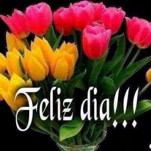 Imagenes Con Mensaje De Buenos Dias Para Mi Amor