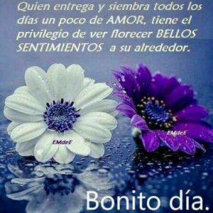 Imagenes Con Mensajes Buenos Dias Para Whatsapp