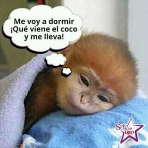 Imágenes con mensajes de buenas noches para Facebook