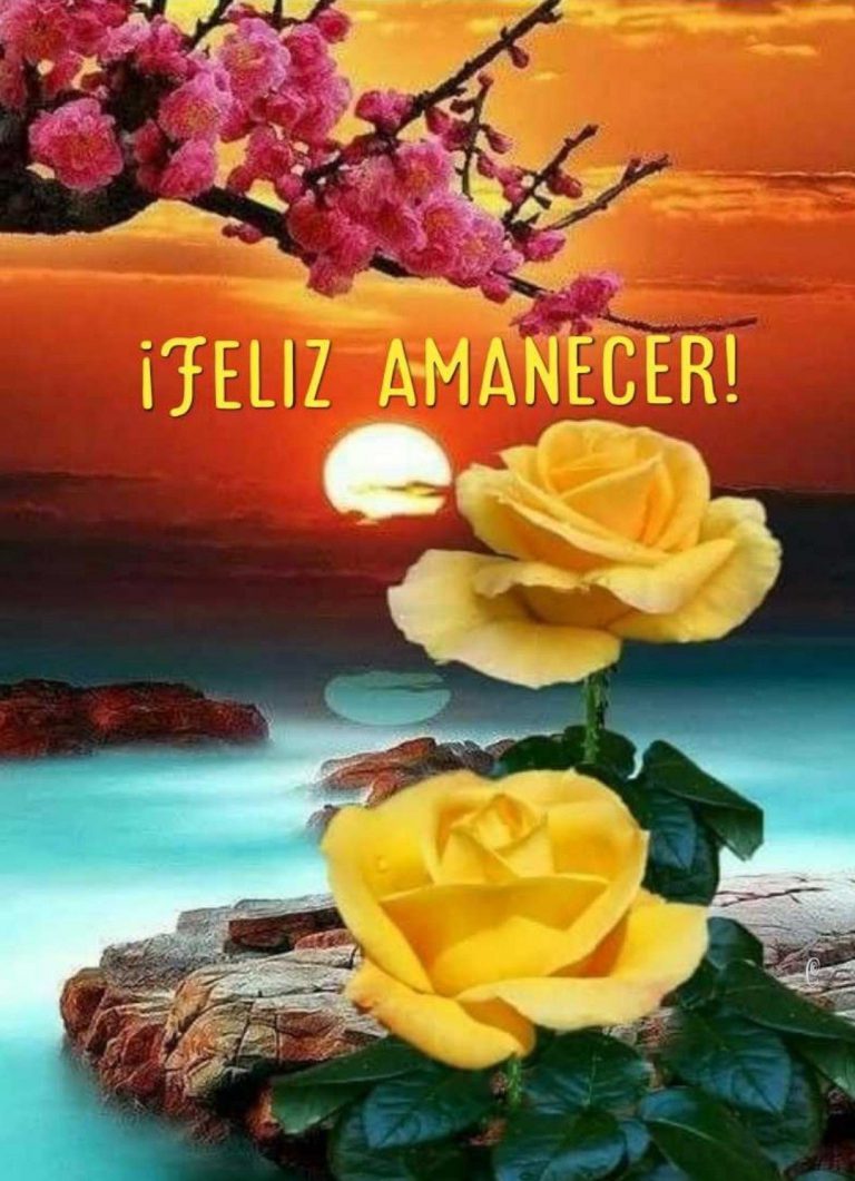 Imagenes Con Mensajes De Buenos Dias Para Celular
