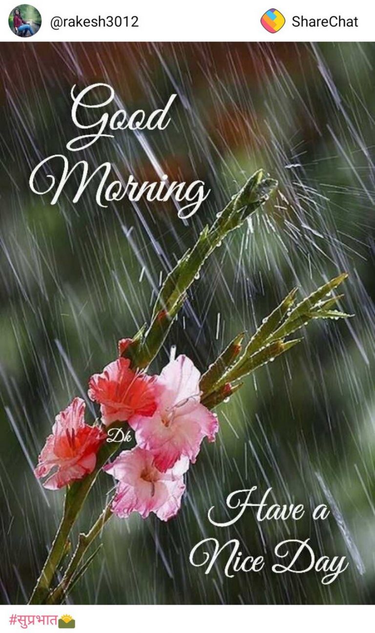 Imagenes Con Mensajes De Buenos Dias Para Mi Amor Para Whatsapp