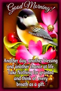 Imagenes Con Mensajes De Buenos Dias Para Whatsapp