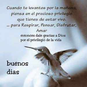 Imagenes Con Poemas De Buenos Dias Para Mi Amor