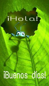 Imagenes Con Poemas De Buenos Dias Para Whatsapp