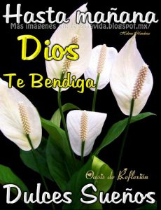 Imagenes Cristianas Buenas Tardes Para Whatsapp Celular