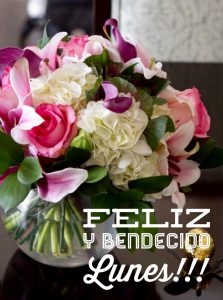 Imagenes D Amor D Buenos Dias Para Celular