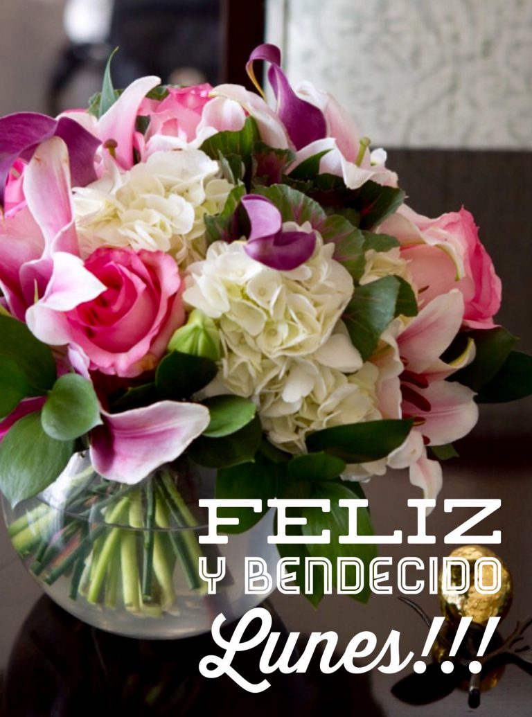 Imagenes D Amor D Buenos Dias Para Celular