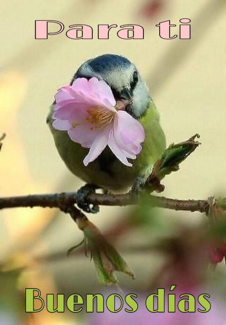 Imagenes D Amor D Buenos Dias Para Una Amiga
