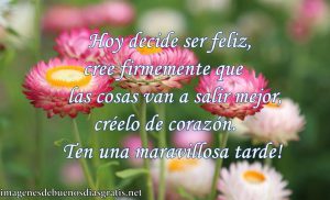 Imagenes D Buenas Tardes Para Compartir Para Whatsapp Celular