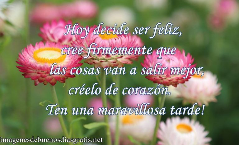 Imagenes D Buenas Tardes Para Compartir Para Whatsapp Celular