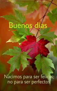 Imagenes D Buenos Dias Amor