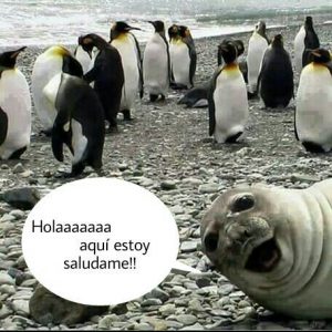 Imagenes D Buenos Dias D Amor Para Mi Amor