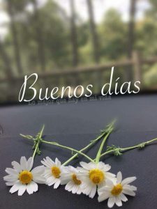 Imagenes D Buenos Dias Para El Amor De Mi Vida Para Whatsapp