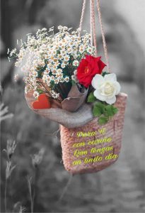 Imagenes Dando Los Buenos Dias Para Whatsapp