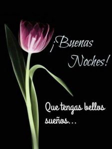 Imagenes De Amor Con Frases De Buenas Noches Para Whatsapp