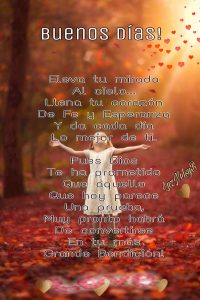 Imagenes De Amor Con Frases De Buenos Dias Para Celular