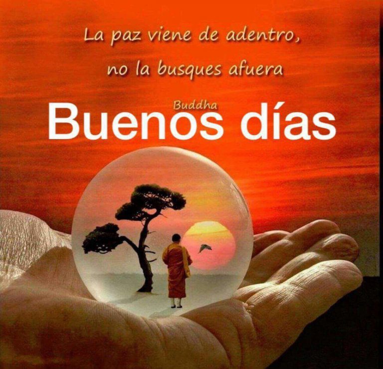 Imagenes De Amor Con Frases De Buenos Dias Para Whatsapp