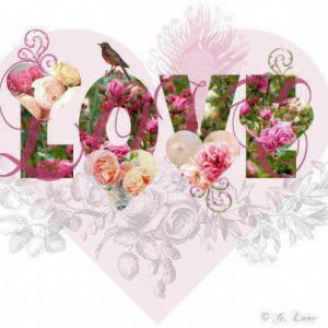 Imagenes De Amor Con Frases Romanticas Nuevas Para Celular Whatsapp