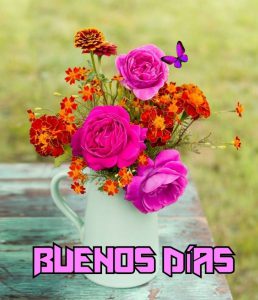 Imágenes de amor d buenos días para descargar