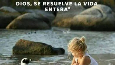 Photo of Imagenes De Amor Dando Los Buenos Dias Para Celular