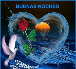 Imagenes De Amor De Buenas Noches Gratis Para Whatsapp