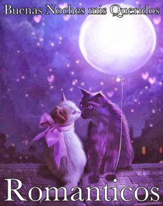 Imagenes De Amor Deseando Buenas Noches Para Celular