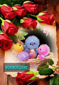 Imagenes De Amor Para Dar Buenos Dias Para Facebook