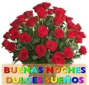 Imagenes De Amor Para Dar Las Buenas Noches Para Whatsapp