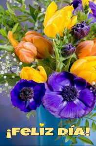 Imagenes De Amor Para Los Buenos Dias Para Descargar