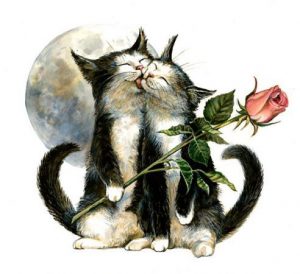 Imágenes de amor recientes