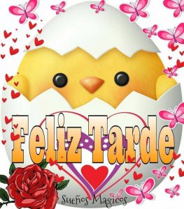 Imagenes De Bonita Tarde Amor Para Whatsapp Celular