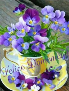 Imágenes de buen domingo para Facebook para celular