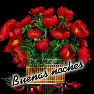 Imagenes De Buenas Noches A Todos Para Celular