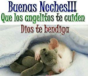 Imagenes De Buenas Noches Amor Gratis