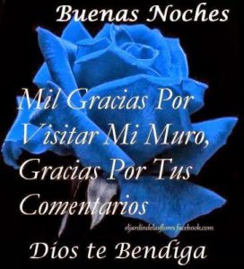 Imagenes De Buenas Noches Con Frases Bonitas