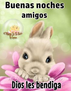 Imagenes De Buenas Noches Con Frases Lindas Para Facebook