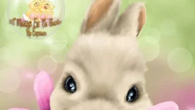 Photo of Imagenes De Buenas Noches Con Frases Lindas Para Facebook