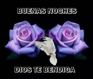 Imagenes De Buenas Noches De Amor Para Descargar Gratis Para Facebook