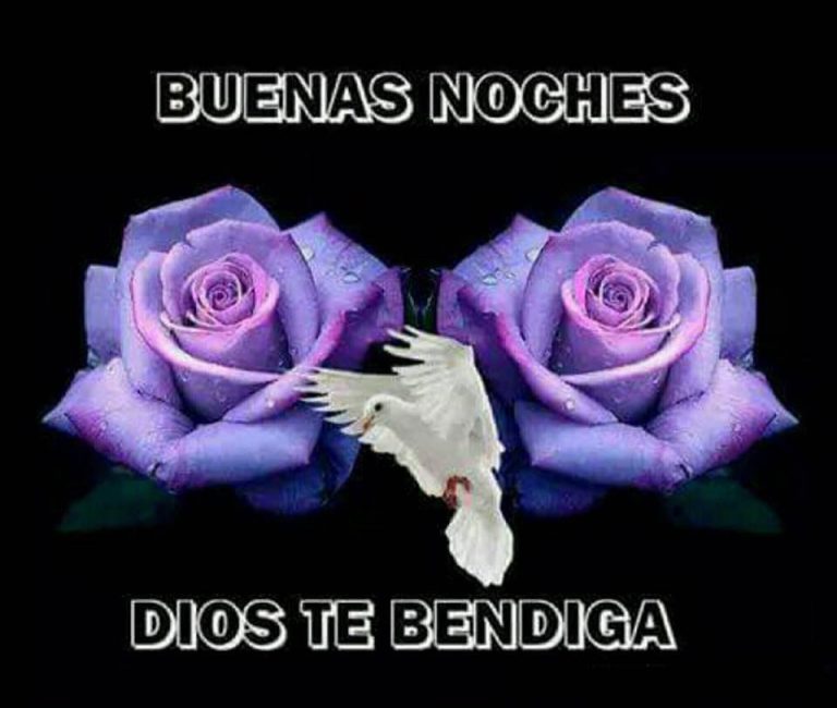Imagenes De Buenas Noches De Amor Para Descargar Gratis Para Facebook