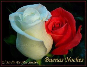Imagenes De Buenas Noches De Amor Para Descargar Gratis Para Whatsapp