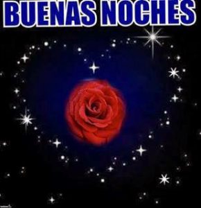 Imagenes De Buenas Noches Especiales Para Whatsapp