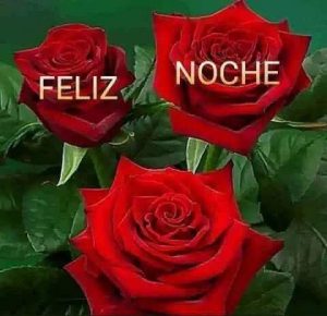 Imagenes De Buenas Noches Originales Para Celular