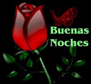 Imagenes De Buenas Noches Originales Para Facebook