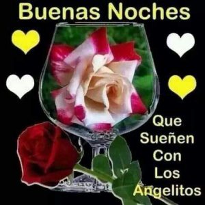 Imagenes De Buenas Noches Para Bajar Gratis Para Celular