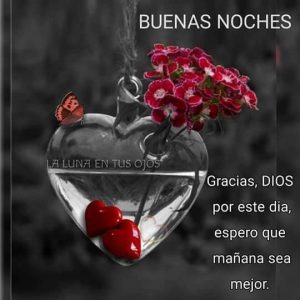 Imagenes De Buenas Noches Para Descargar Gratis