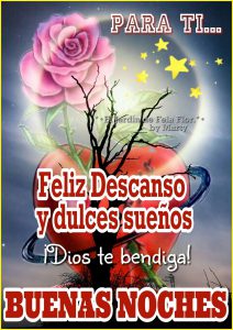 Imagenes De Buenas Noches Para Mi Amor Para Facebook