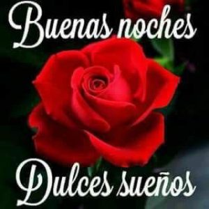 Imagenes De Buenas Noches Para Tu Amor Para Celular