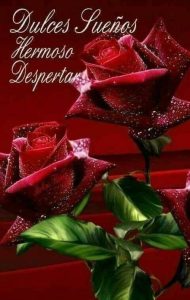 Imagenes De Buenas Noches Sabado Para Facebook