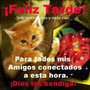 Imágenes de buenas tardes amiga para Facebook y WhatsApp